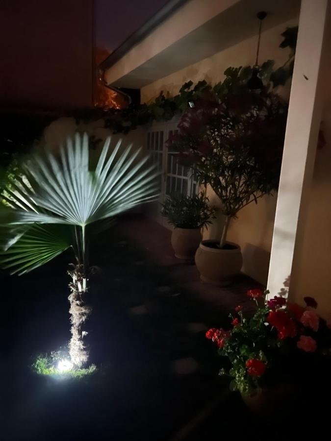Monpe Apartmanik S Atmosferou Komárno エクステリア 写真